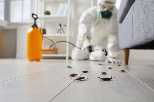 Trusted Termite Control service in Martin, TN - Nex Pest Control